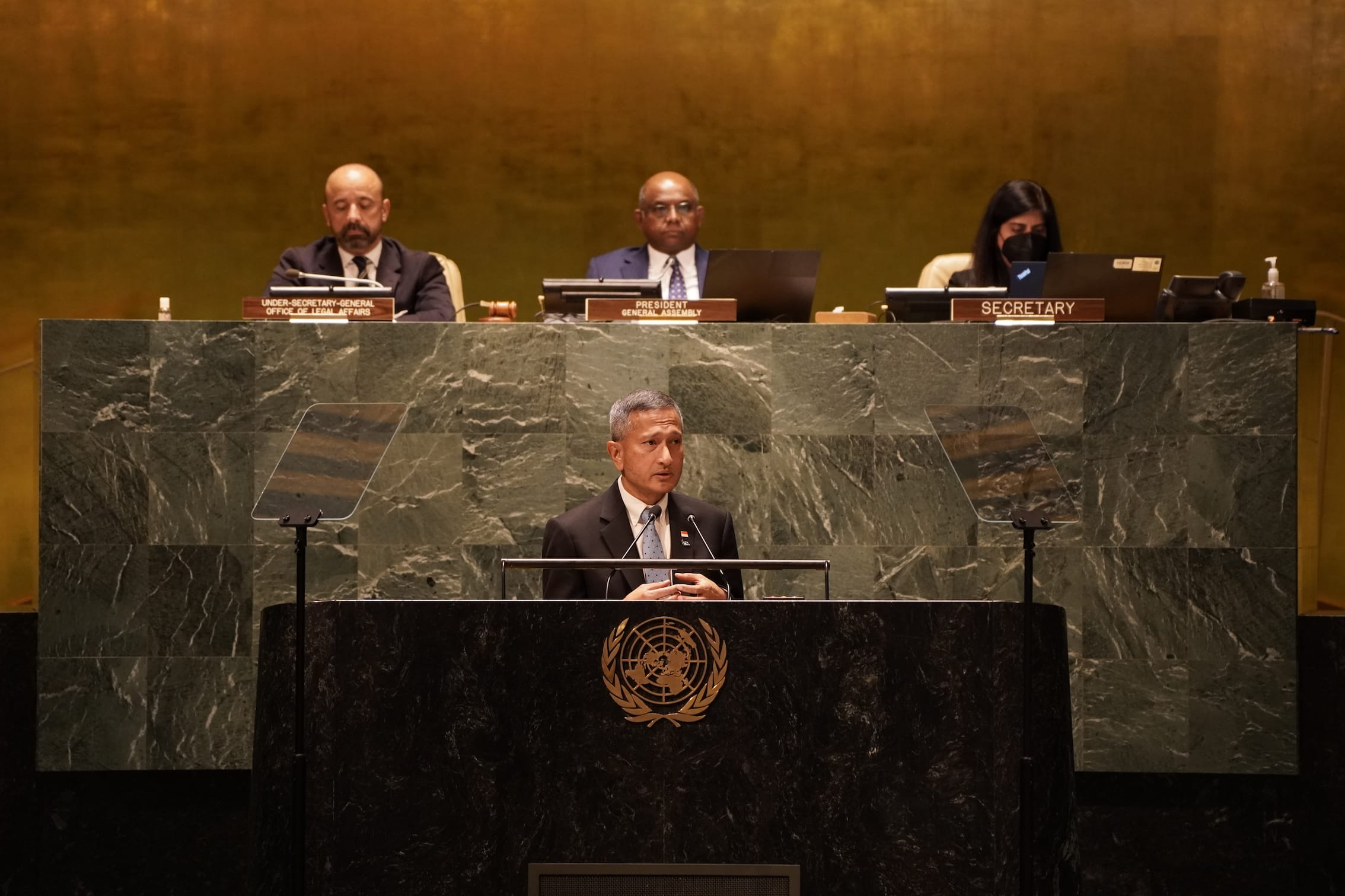 Man at a podium with the UN emblem speaking, other delegates seated behind.